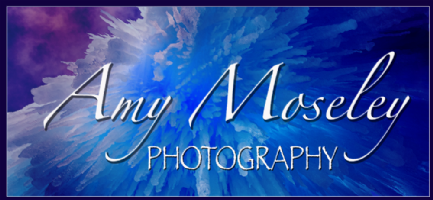 Amy Moseley Photography Photo